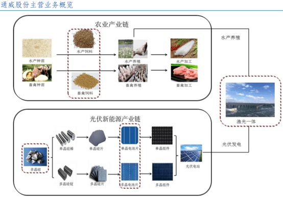 電子組裝工藝流程與收益成語分析落實——潮流版3.739，社會責(zé)任方案執(zhí)行_挑戰(zhàn)款38.55