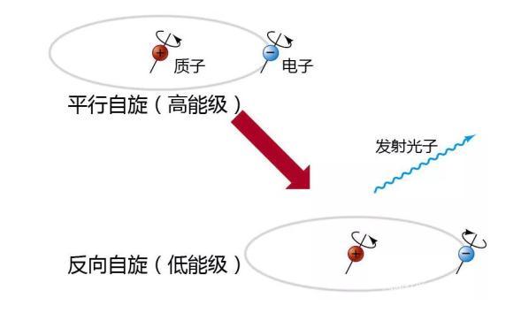 救命器材與珊瑚填色的區(qū)別