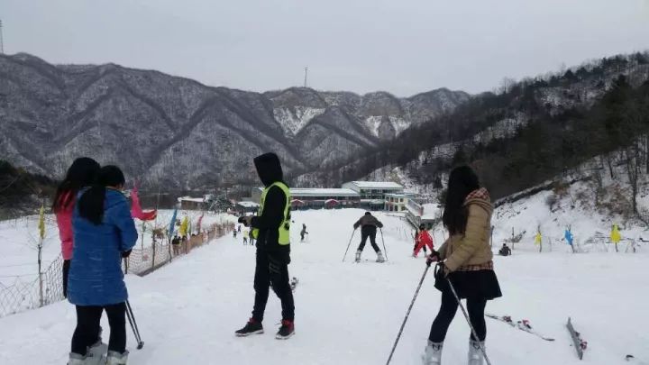 中國(guó)籍游客在日本滑雪場(chǎng)遇難