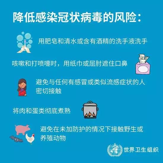 微信提醒警惕社交平臺(tái)傳播木馬病毒，高速方案規(guī)劃與iPad安全策略，功能性操作方案制定_Executive99.66.67