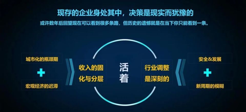 邁向未來的數(shù)據(jù)整合之旅，2025全年資料免費(fèi)大全 Set53.96.36，科學(xué)說明解析_工具版48.70.29